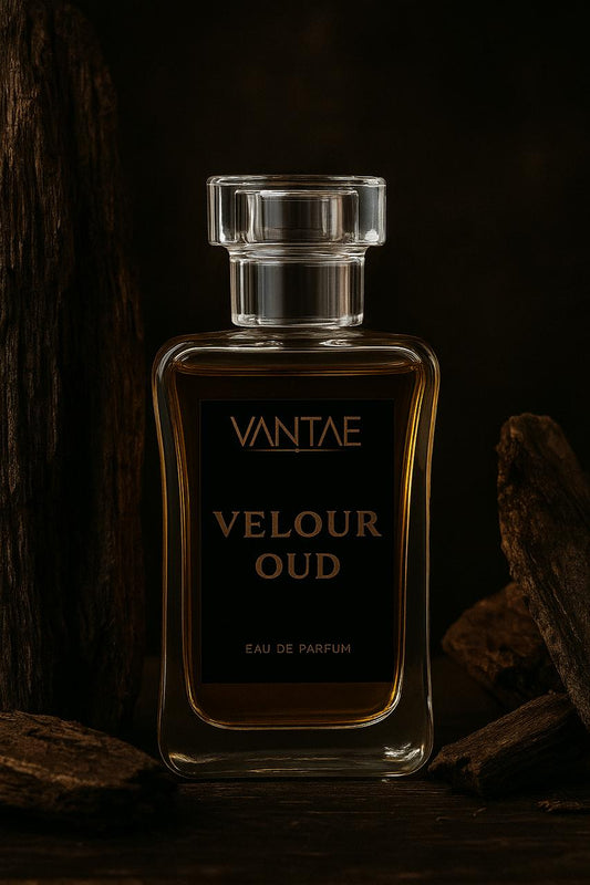 VELOUR OUD